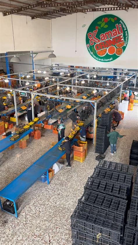 Sanaye Ghazaei Bastebandi Asaldokht Shahd Co Company .
